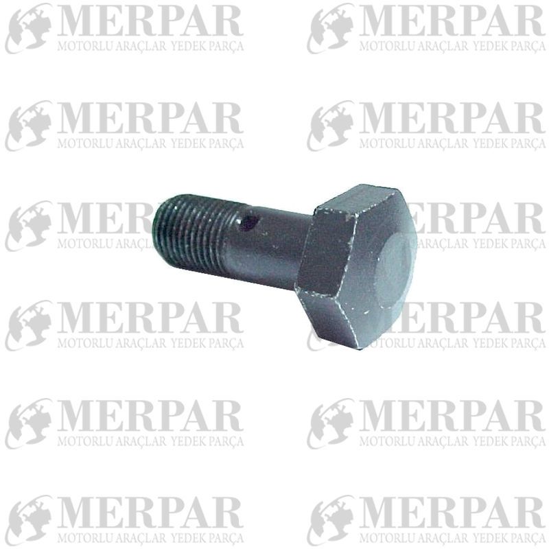 Mercedes Benz 2521 2524 2517 Hollow Screw 3669900063