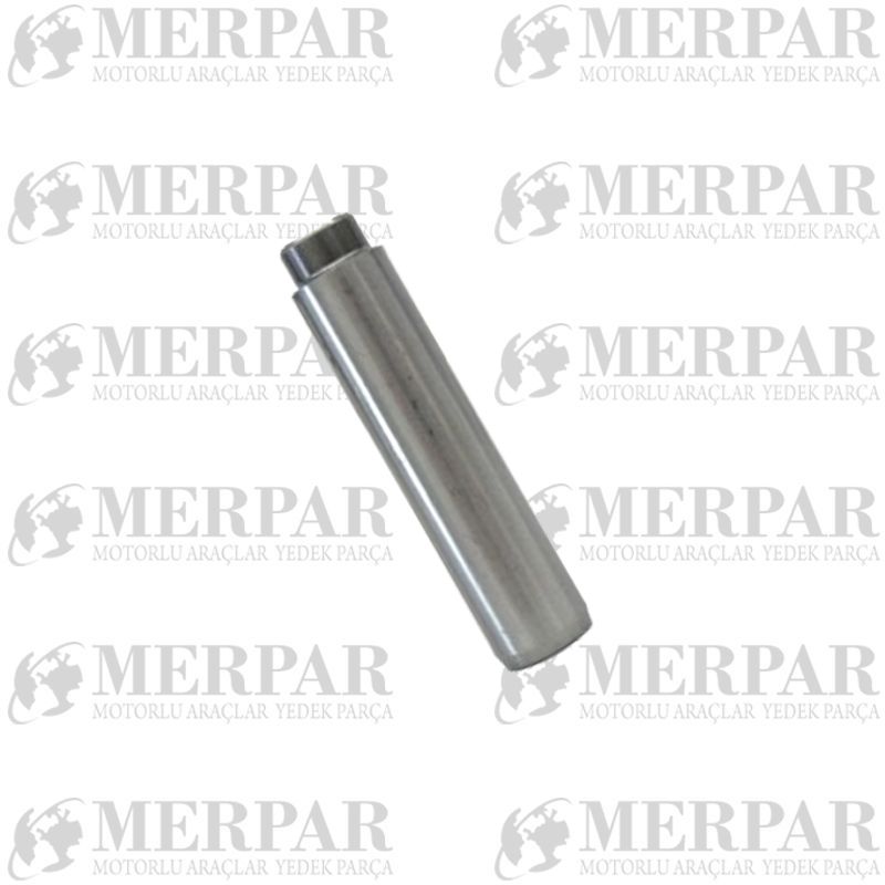 MAN TGS Serisi SUPAP GAYDI MAN TGA 18.410 /19.464 IN-EX > 51032010126; 51032010136
